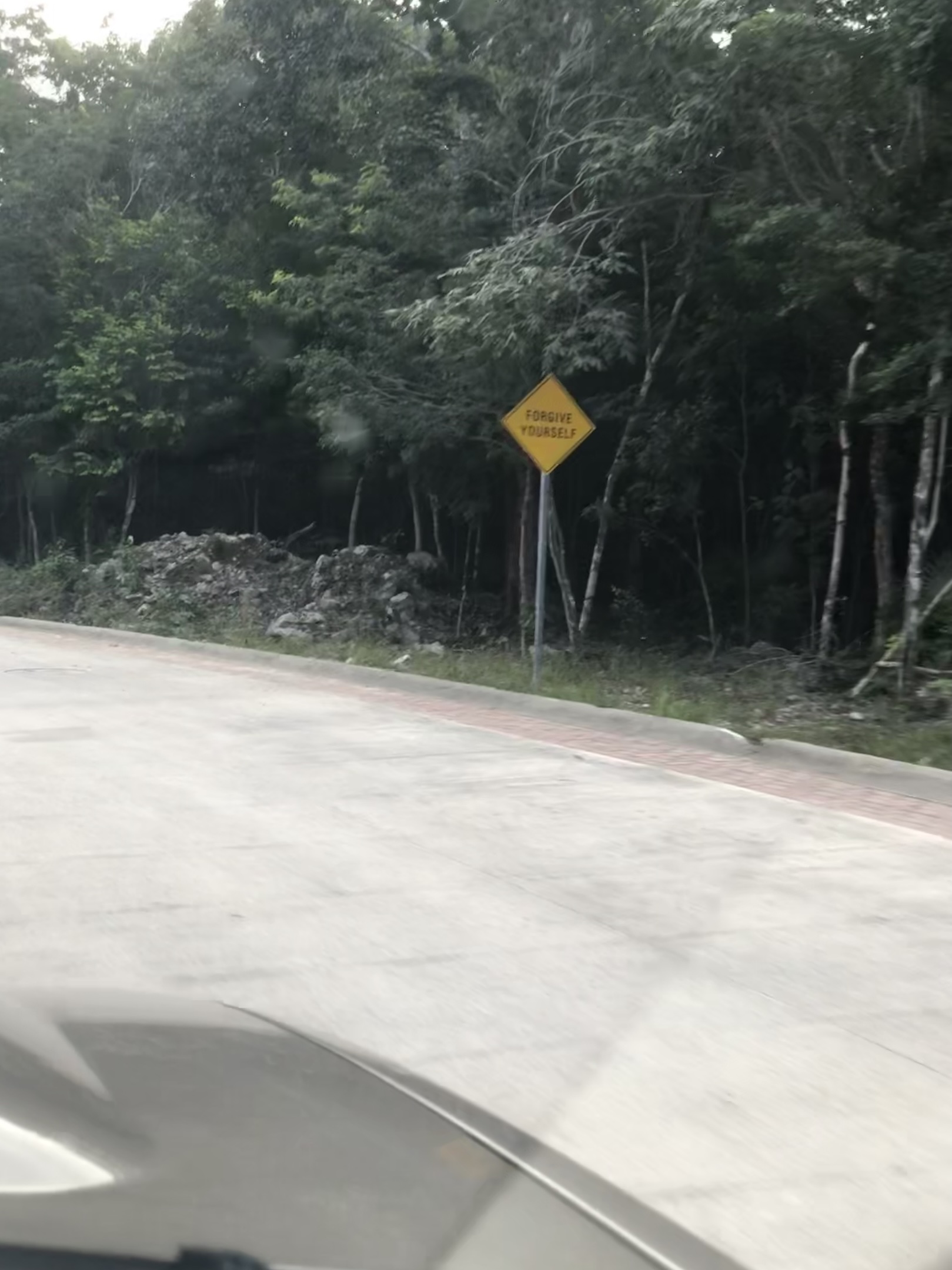 An altered street sign reading Forgive Yourself